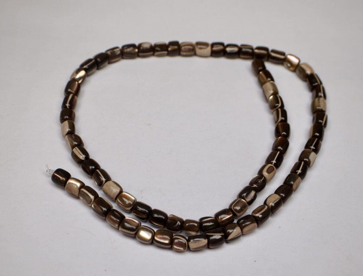 Trochid Shell 5x6mm